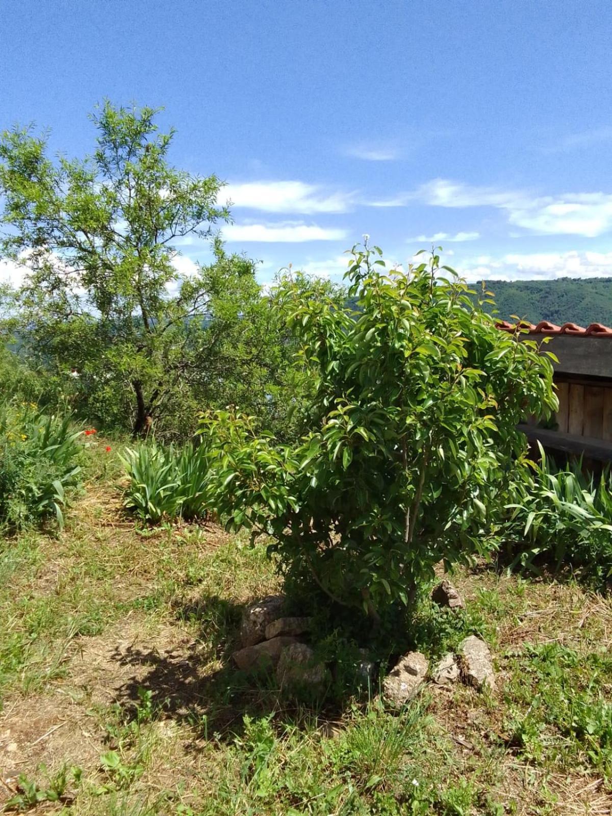 Gites De Revirand Sarras Exteriér fotografie