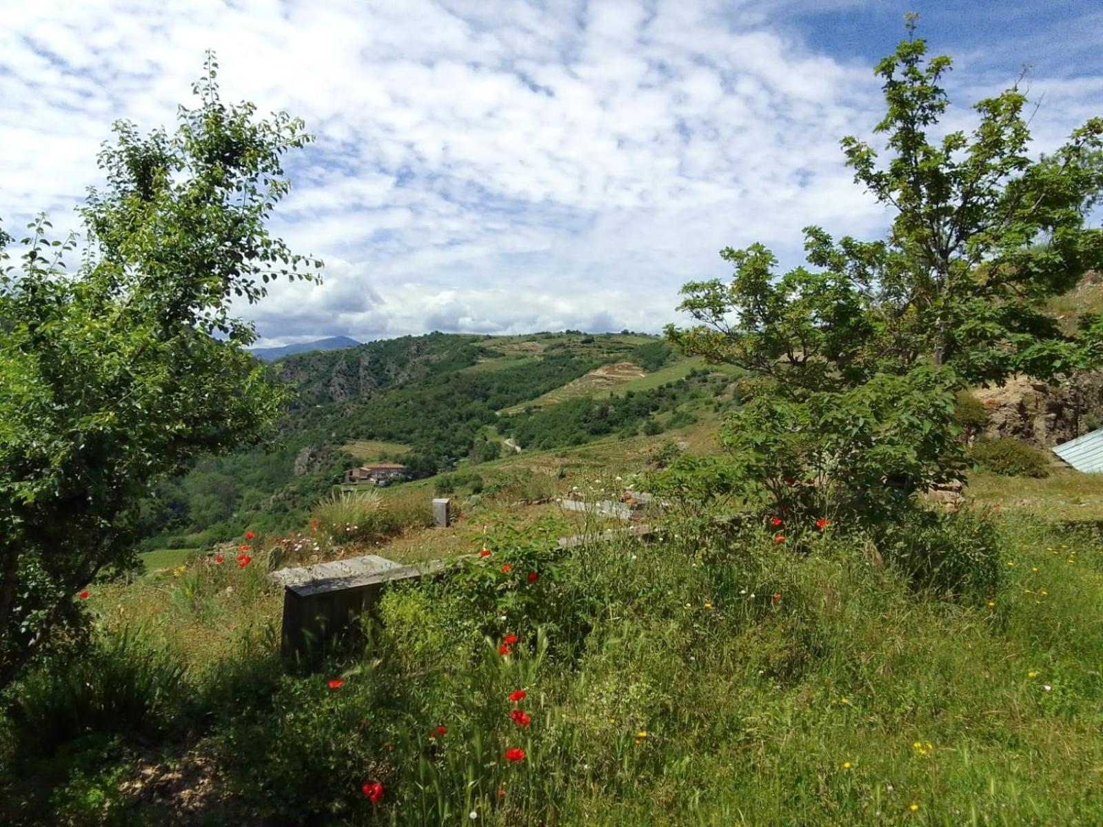 Gites De Revirand Sarras Exteriér fotografie